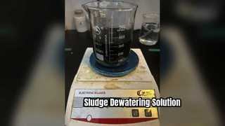 Agente di ritenzione per la disidratazione dei fanghi